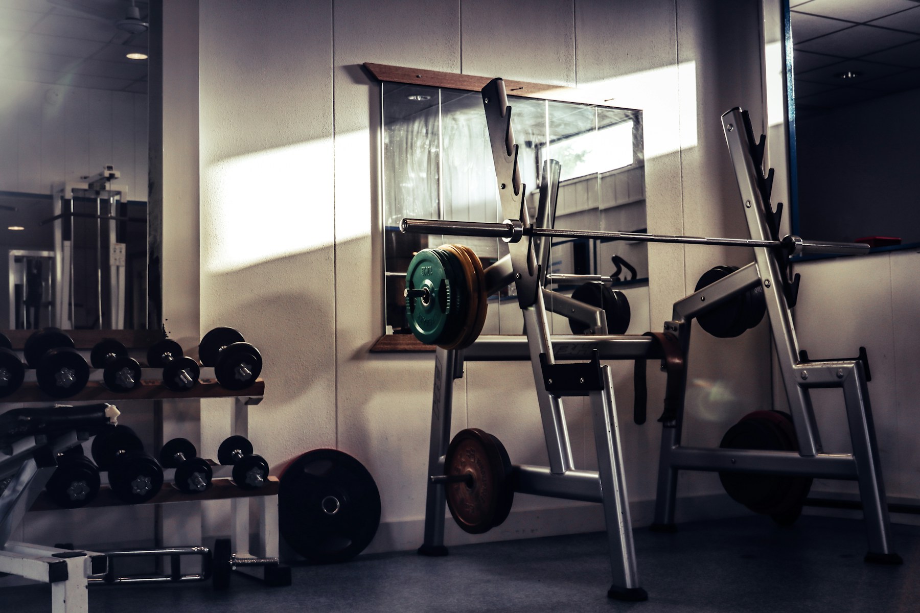 Warm sunlight across a barbell rack and weights in an old-school gym
